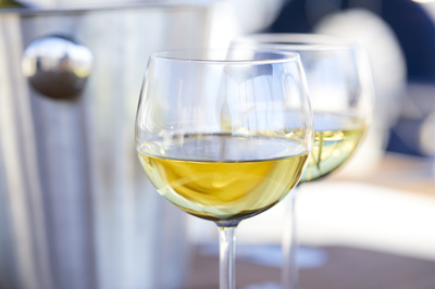 Secchiello per il ghiaccio e accessori vino
