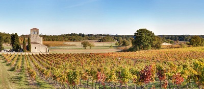 Vini del sud-ovest