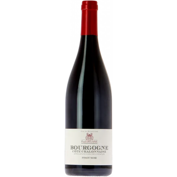 Borgoña Côte Châlonnaise Pinot Noir 2023 - Paul Delane - Vignerons de Buxy