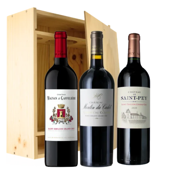 ESTUCHE 2 Botellas - Saint-Émilion Grand Cru