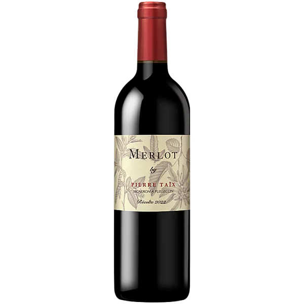 Merlot 2022 by Pierre Taix