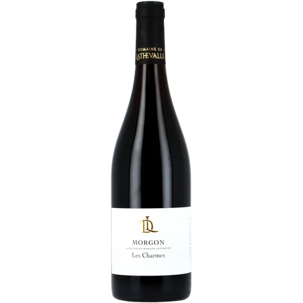 Morgon Les Charmes 2019 - Dominio de Lathevalle
