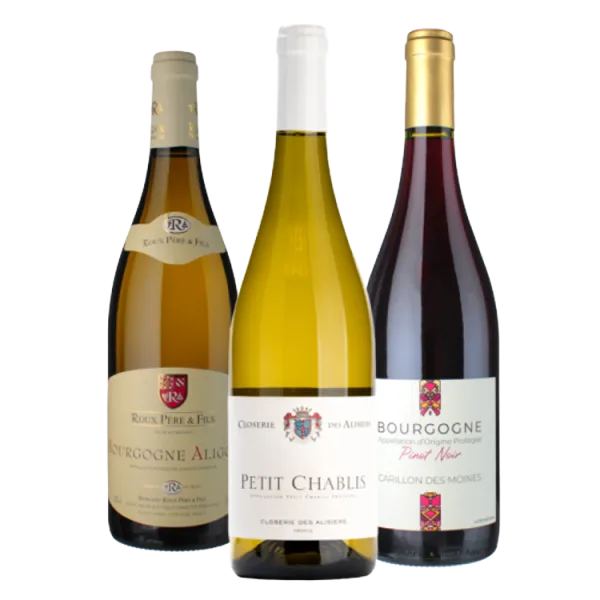Estuche 3 Botellas - Mejores Ventas Borgoña